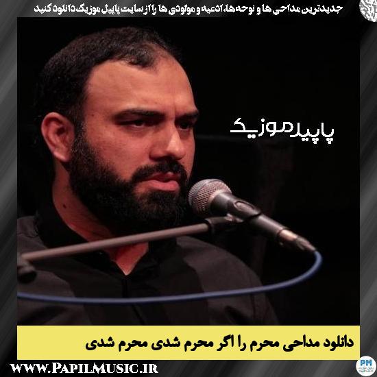دانلود مداحی محرم را اگر محرم شدی محرم شدی از مهدی حسینی